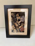 Vintage Framed Dried Pressed Flowers Black Background Garden Art 8???x 6???