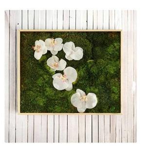 Preserved Moss Art Framed 'Orchid Oasis', Real Moss Decor, Moss Wall Art Large, Plant Wall Art