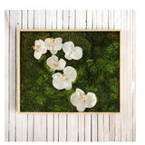 Preserved Moss Art Framed 'Orchid Oasis', Real Moss Decor, Moss Wall Art Large, Plant Wall Art