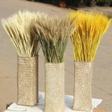 50Pcs/Lot Dried Wheat Ear Flowers Bouquet Decor Natural Pampas Rabbit Tail Grass