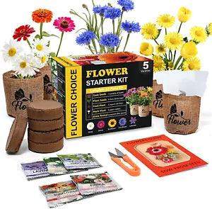 Indoor Daisy Garden Starter Kit, 5 Non-Gmo Flower Seeds Planting Set with Garden