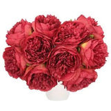 Artificial Flower Heads, Silk Peony Plants Hydrangea Red Faux Flowers 20Pcs