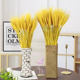 50Pcs/lot Real Wheat Ear Flower Natural Dried Flowers Wedding Decoration Bouquet