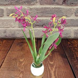 Artificial Mini Cattleya Orchid plant PURPLE