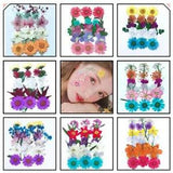 Real Pressed Dried Flowers Leaves Embellish For Epoxy Resin Jewelry Making Craft