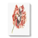 Canvas Print Wall Art Pink Peony Flower by Johan Teyler Framed Picture