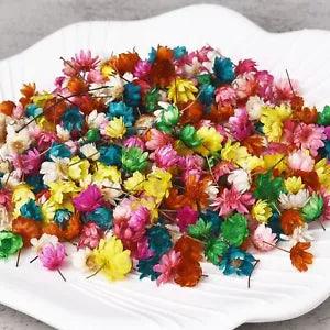Mixed dried flowers bundle with small multicolor blooms for DIY resin craft