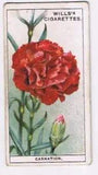 Wills Cigarette Card Garden Flowers #11 Carnation