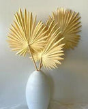 DRIED PALM FAN LEAF ARTIFICIAL DRY NATURAL LOOK PALMS LATEX FLOWERS DECORATIONS