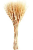 Dried Wheat Stalks, 100 Stems Wheat Sheaves for Decorating Wedding Table Home Ki