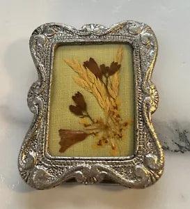 Vintage Miniature Pressed Art Floral Dried Flowers Framed