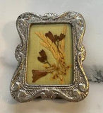 Vintage Miniature Pressed Art Floral Dried Flowers Framed