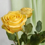Rose. Bouquet of roses. Real touch flowers. Roses for decor. Clay flowers. Polimer clay flowers.