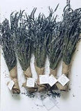 Diara Dried Lavender Bundles (5 Bundles Pack) (Long Stems)| Natural Dried Lav...