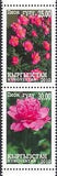 Kyrgyzstan 2010 Peonies/Peony/Flowers/Plants/Nature 2v set pr (b5886f)