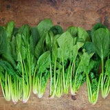 Spinach Matador 5g - 150 NON GMO Seeds - Spinach Oleracea