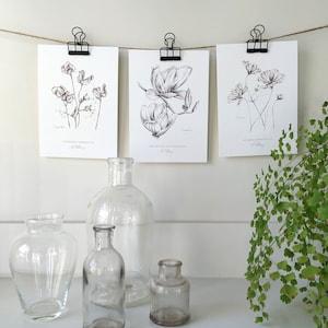 Set of 3 Flower Botanical Art Prints, in graphite, by artist Kristen Johns, for the gardener and flower lover, 8x10 inches, 5x7 inches