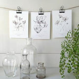 Set of 3 Flower Botanical Art Prints, in graphite, by artist Kristen Johns, for the gardener and flower lover, 8x10 inches, 5x7 inches