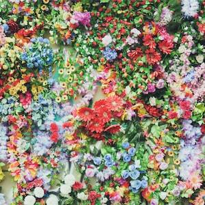 900+ seeds Princess Young Gardener mix 35+ variety multi color easy to grow bounty of colors annual & perennial New!