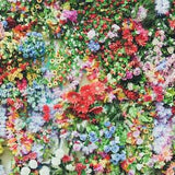 900+ seeds Princess Young Gardener mix 35+ variety multi color easy to grow bounty of colors annual & perennial New!