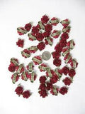 Burgundy 1