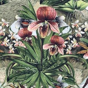 Wilde Orchids Printed Italian Velvet by Metre Flowers Green Yellow Pink Peach