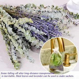 Natural Dried Flowers Eucalyptus Leaves Lavender Plant Fragrance DIY Home Decor