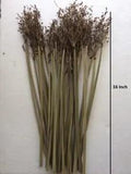 35 Pcs Dried Natural Flowers Bunch Wedding Arrangement Brown Bouquet Home Decor