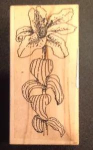 Rubber Stamp Tiger Lily F-18 Sandi Miller Flower