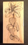 Rubber Stamp Tiger Lily F-18 Sandi Miller Flower