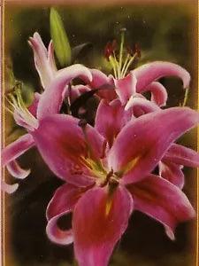 PREMIER DESIGNS "Stargazer Lily" decorative 28 x 40 Seasonal floral house flag