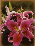 PREMIER DESIGNS "Stargazer Lily" decorative 28 x 40 Seasonal floral house flag