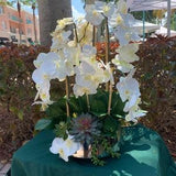 Large White Silk Orchid & Succulent Arrangement