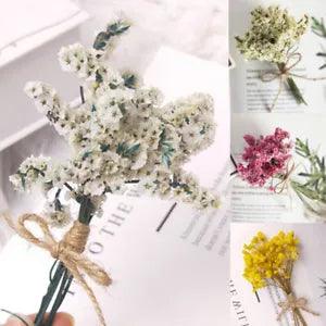 Natural Dried Flower Gypsophila Plants Pampas Grass Mini DIY Crafts Accessories