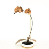 Orchid #6 Copper