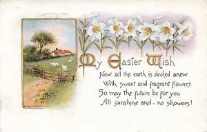 1910's  Easter Postcard Home & Sheep in Countryside, Easter Lilies E259