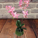 Artificial Phalaenopsis Orchid on disc PINK
