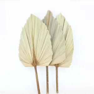 1PCS Palm Fan Leaf Dried Flower For DIY Flower Arrangement Home Decoration...
