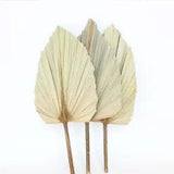 1PCS Palm Fan Leaf Dried Flower For DIY Flower Arrangement Home Decoration...