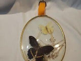 Vintage Convex Glass Butterflies Dried  Leaves Italy 7"
