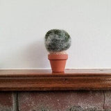 Maureen 1 - Mini Round Fluffy Crochet Cactus - Crochet Cactus, Fake Cactus, Fluffy Plant, Dark Green Cactus - Ready to Ship