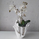 Large orchid planter. Handmade indoor planter. Scandinavian white vase.