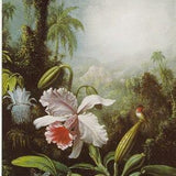Hummingbird in jungle with orchids lush plants, vintage print of oil painting  circa 1865, tropical natural history bird decor for airbnb