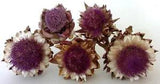 Lot of 5 Real Dried Artichoke Flowers 3-4 Inches Wide on Natural Stems - Lot 20