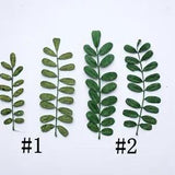 12PCS real Pressed dry leaves, Floral supply for art craft FSS13