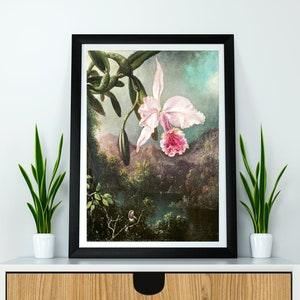 Orchid Blossoms (1873) by Martin Johnson Heade Poster Illustration Print Wall Hanging Decor