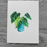 Alocasia Original Mixed Media Painting, Plant Art, Plant Lovers, Small Art, Watercolour art, By Alyssa Penner