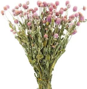 JOJAZE Dried Flower Pink Globe Amaranth Natural Dried Rose Flowers Bundles Flowe