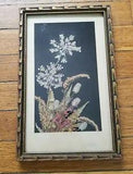 Vintage Dried Wild Flower Framed Artwork Velvet Background 1940s New England
