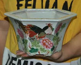 10.4" chinese wucai porcelain peony flower bird Text flower Potted plants pot